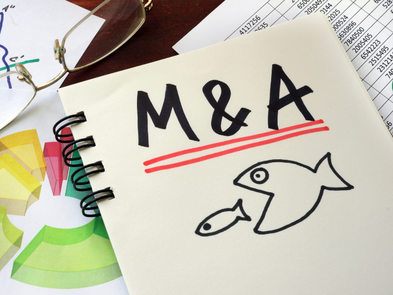 mergers and acquisitions in vietnam 02