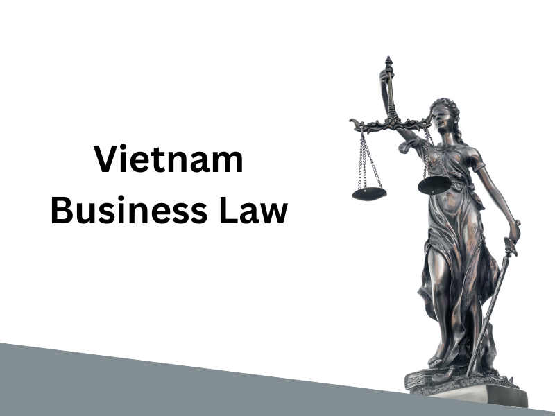 business law in vietnam 01