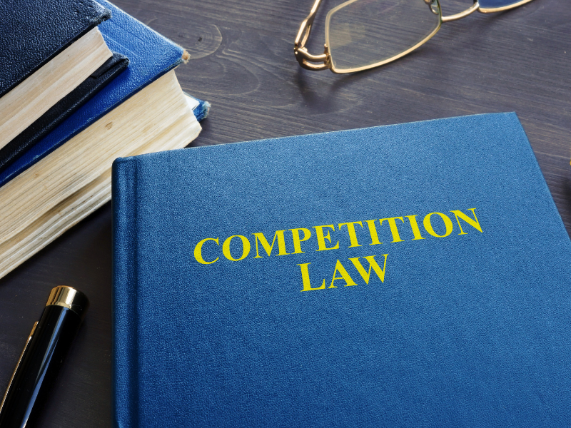 business law in vietnam 03