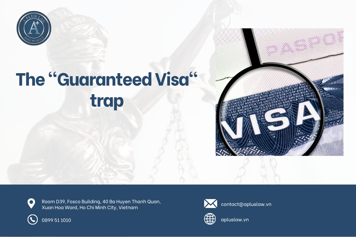 The "Guaranteed Visa" trap: When the guise of an expert pushes the FDI board of directors into imprisonment