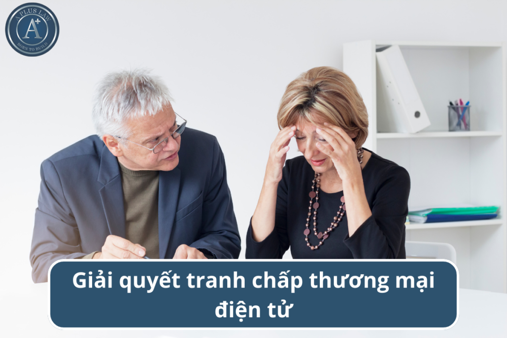 tranh chấp thương mại điện tử 01