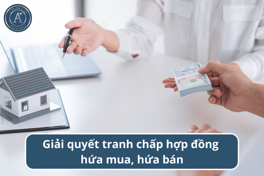 tranh chấp hợp đồng hứa mua hứa bán