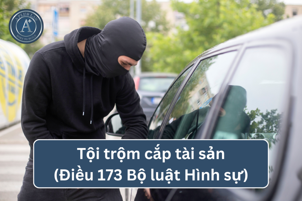 tội trộm cắp tài sản 05