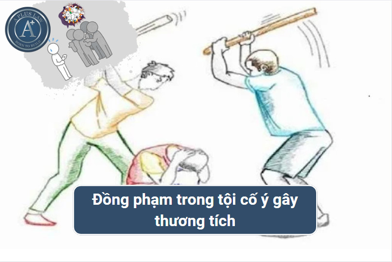 đồng phạm trong tội cố ý gây thương tích