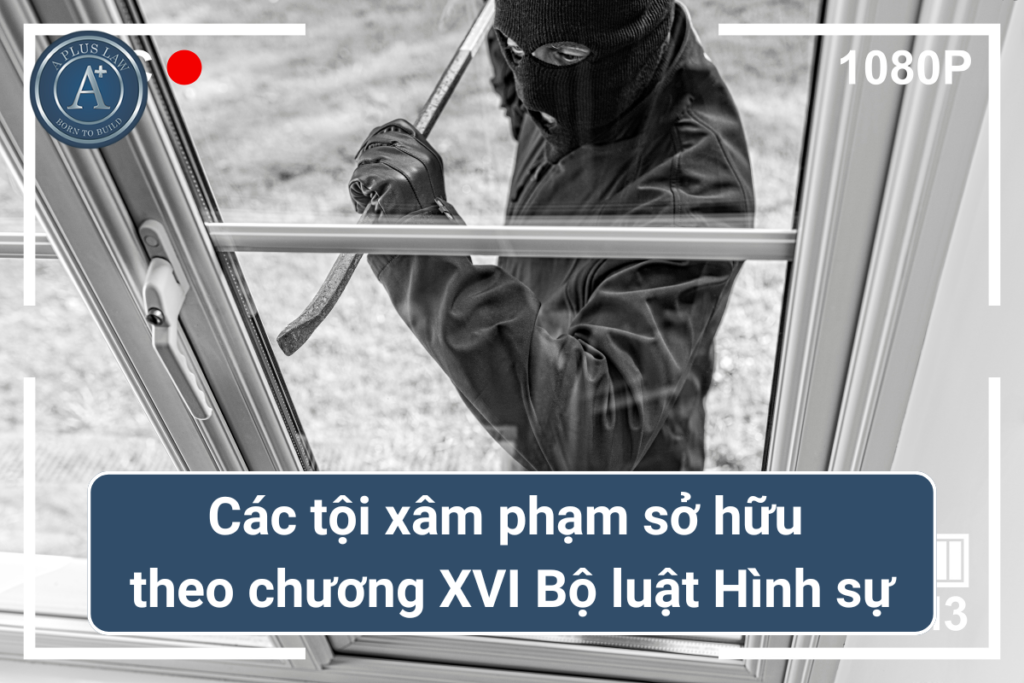 các tội xâm phạm sở hữu 04