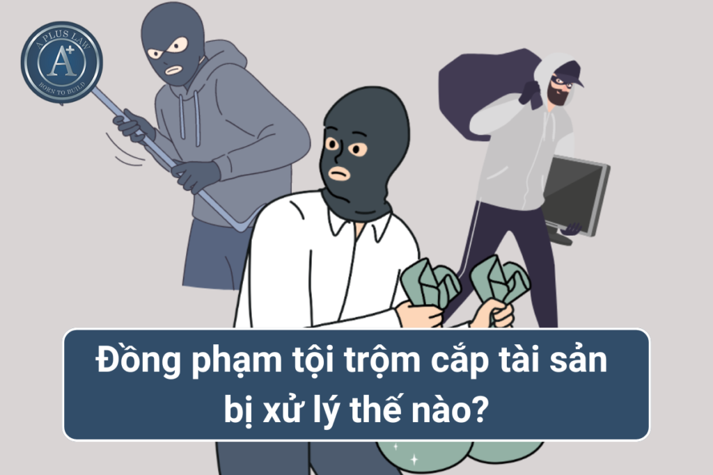 đồng phạm trộm cắp tài sản 00