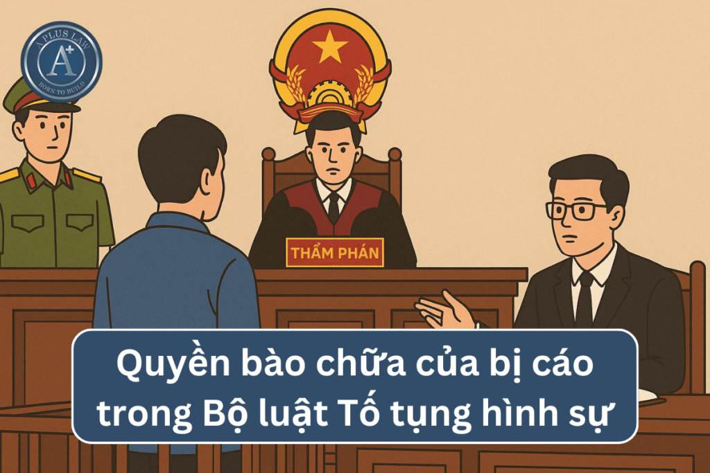 quyền bào chữa 04