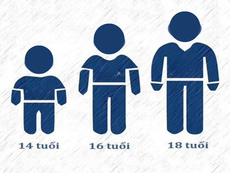 tội hủy hoại tài sản nhà nước 03