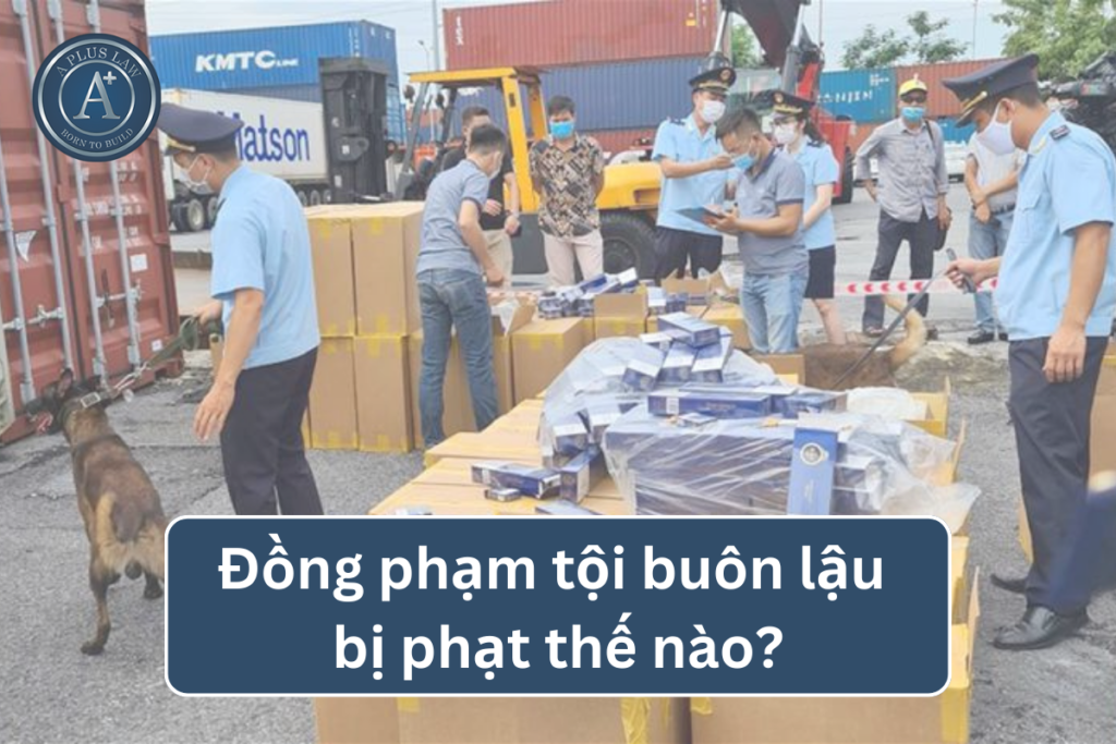 đồng phạm tội buôn lậu