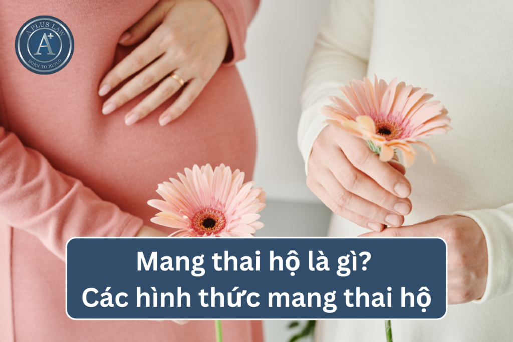 mang thai hộ