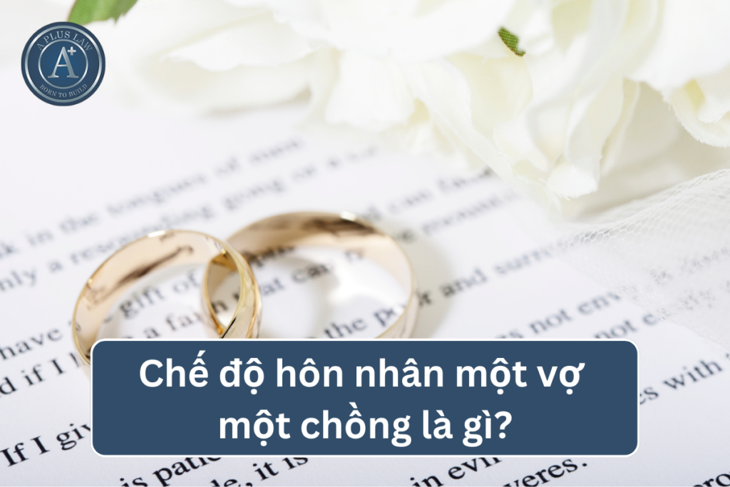 một vợ một chồng 04