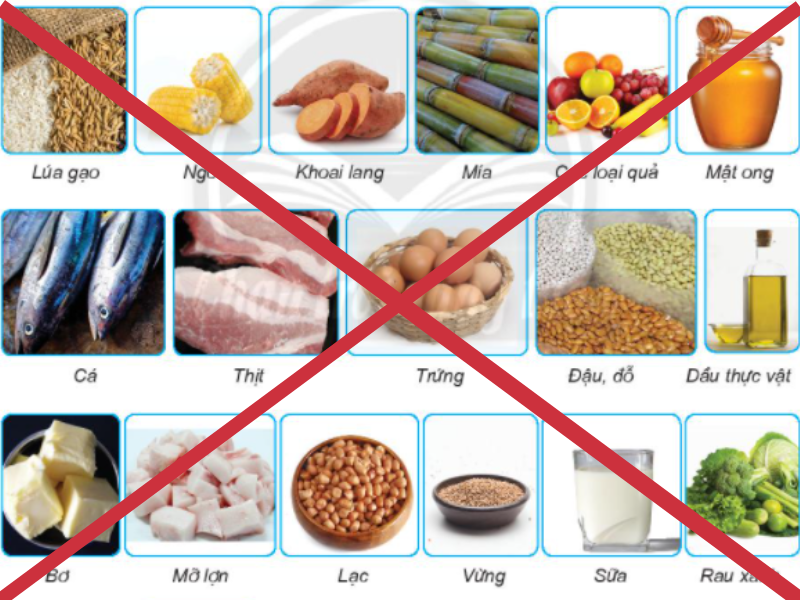 tội sản xuất, buôn bán hàng giả là lương thực, thực phẩm, phụ gia thực phẩm 01