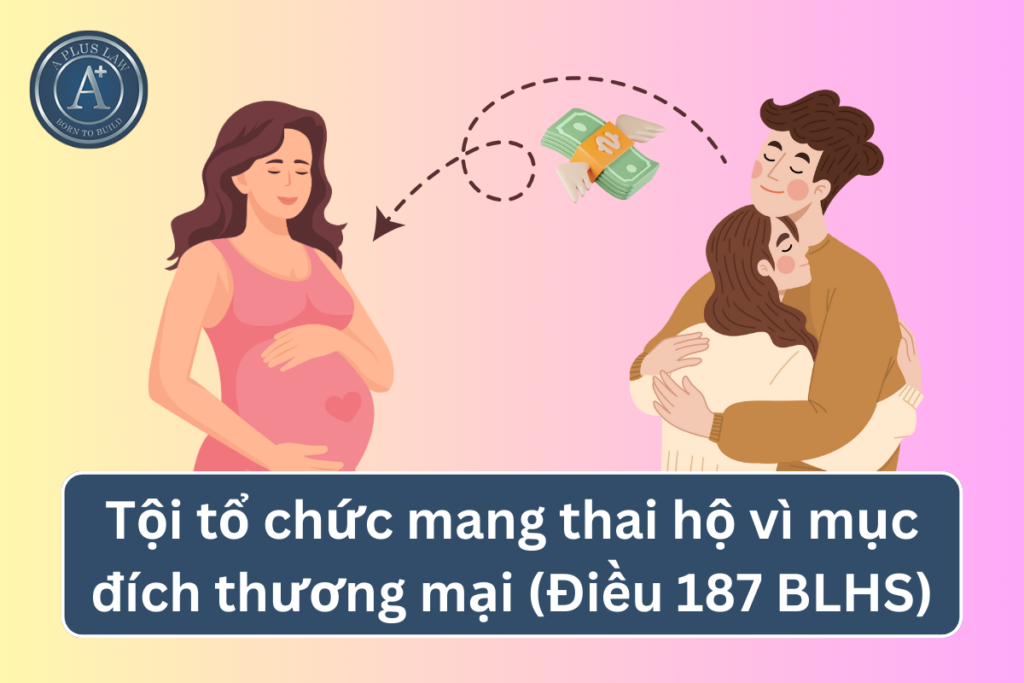 tội tổ chức mang thai hộ vì mục đích thương mại