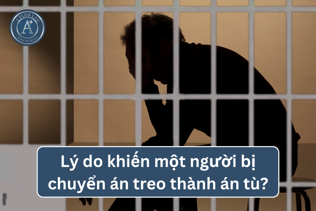 chuyển án treo thành án tù