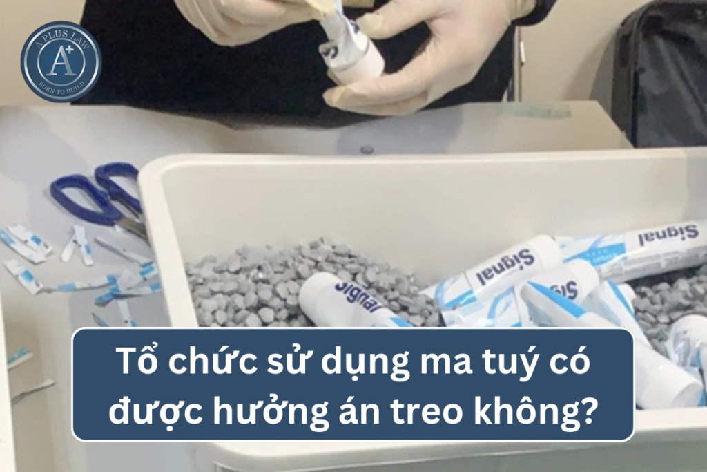 tổ chức sử dụng ma tuý có án treo không