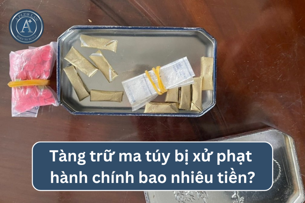 tàng trữ ma tuý xử phạt hành chính
