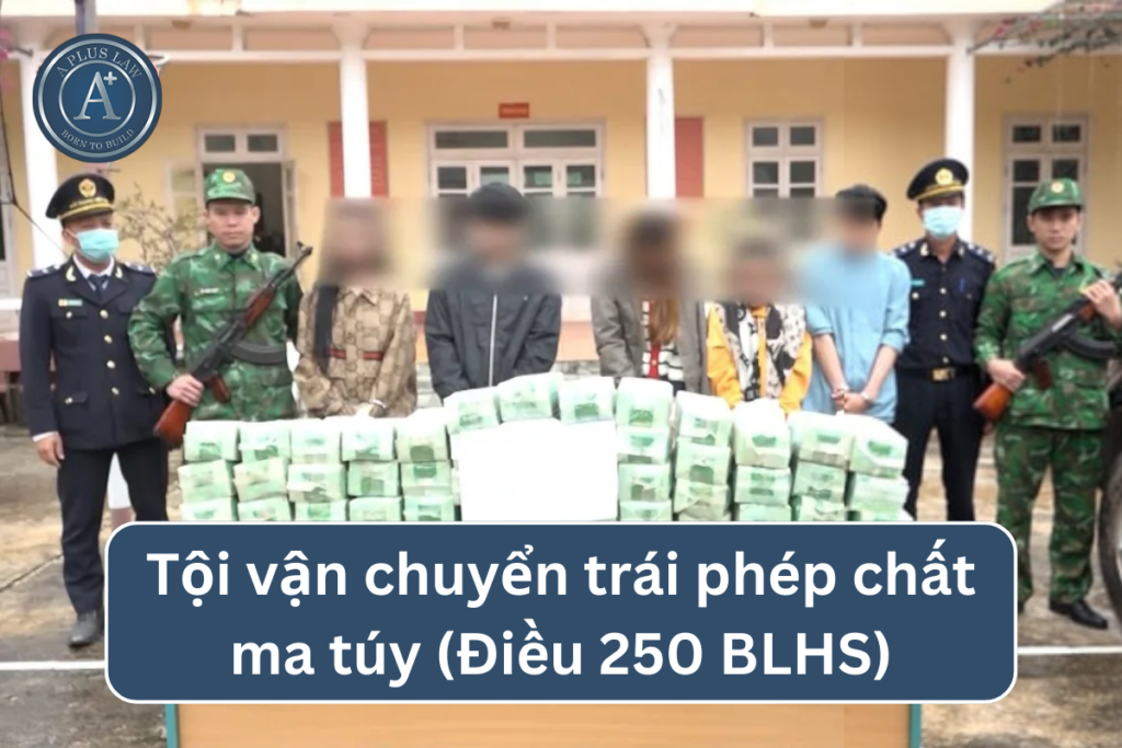 vận chuyển ma túy