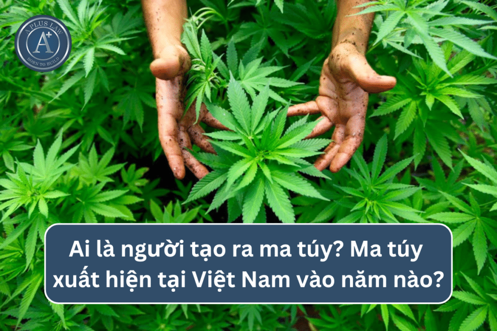 Ai là người tạo ra ma túy? Ma túy xuất hiện tại Việt Nam vào năm nào?