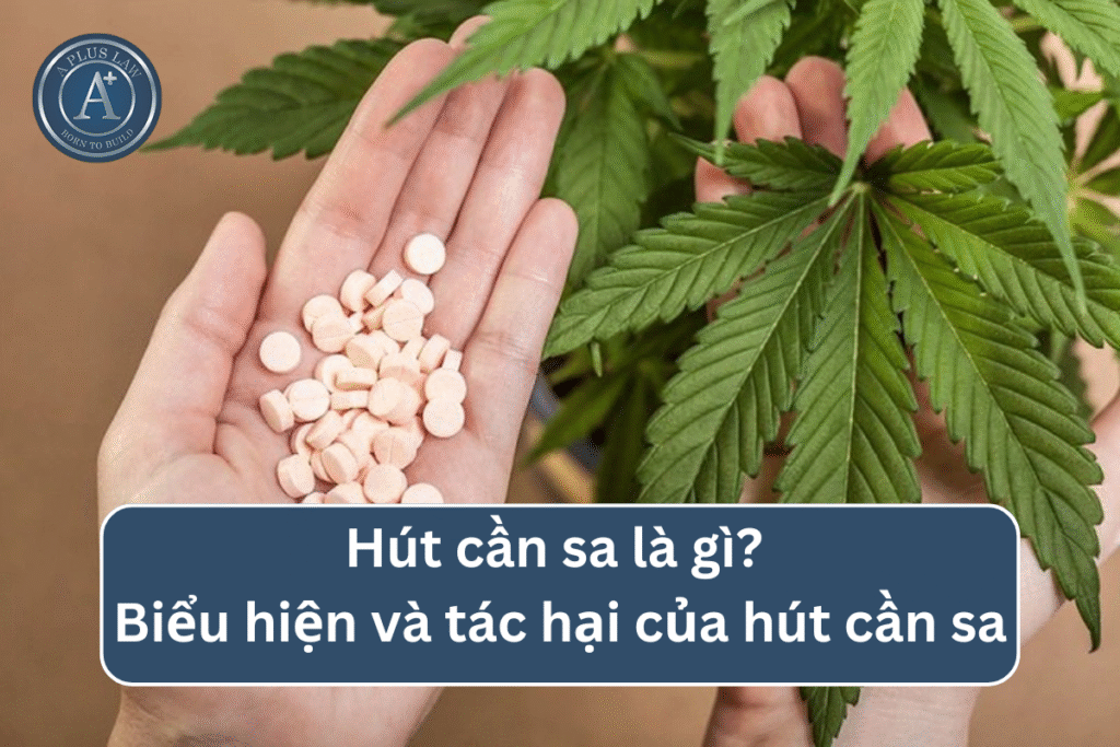 Hút cần sa là gì? Biểu hiện và tác hại của hút cần sa