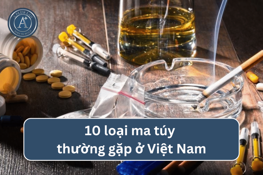 10 loại ma túy thường gặp ở Việt Nam