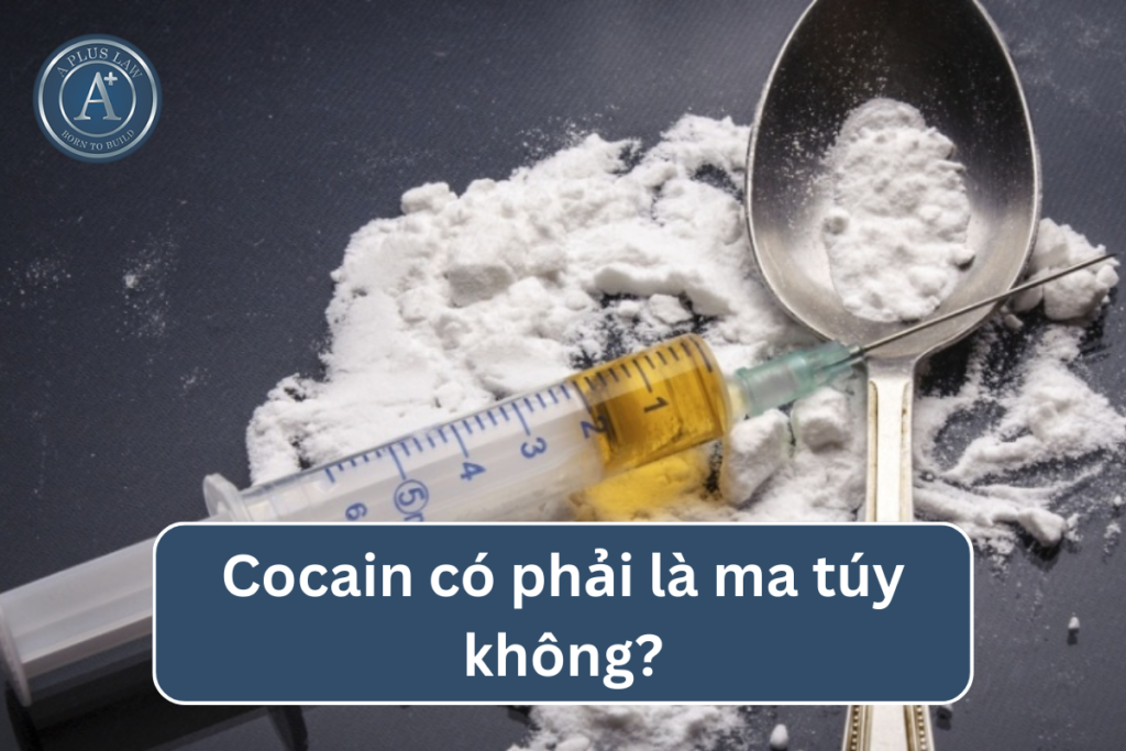 cocain có phải là ma túy