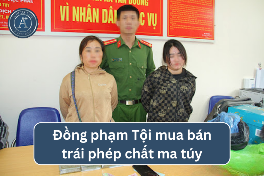 đồng phạm tội mua bán trái phép chất ma túy