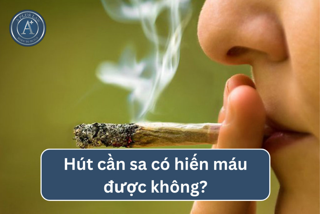 hút cần sa có hiến máu được không