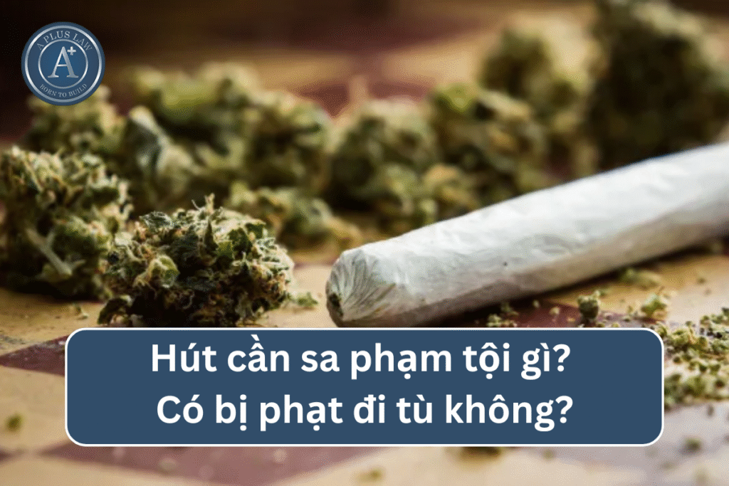 Hút cần sa phạm tội gì? Có bị phạt đi tù không?