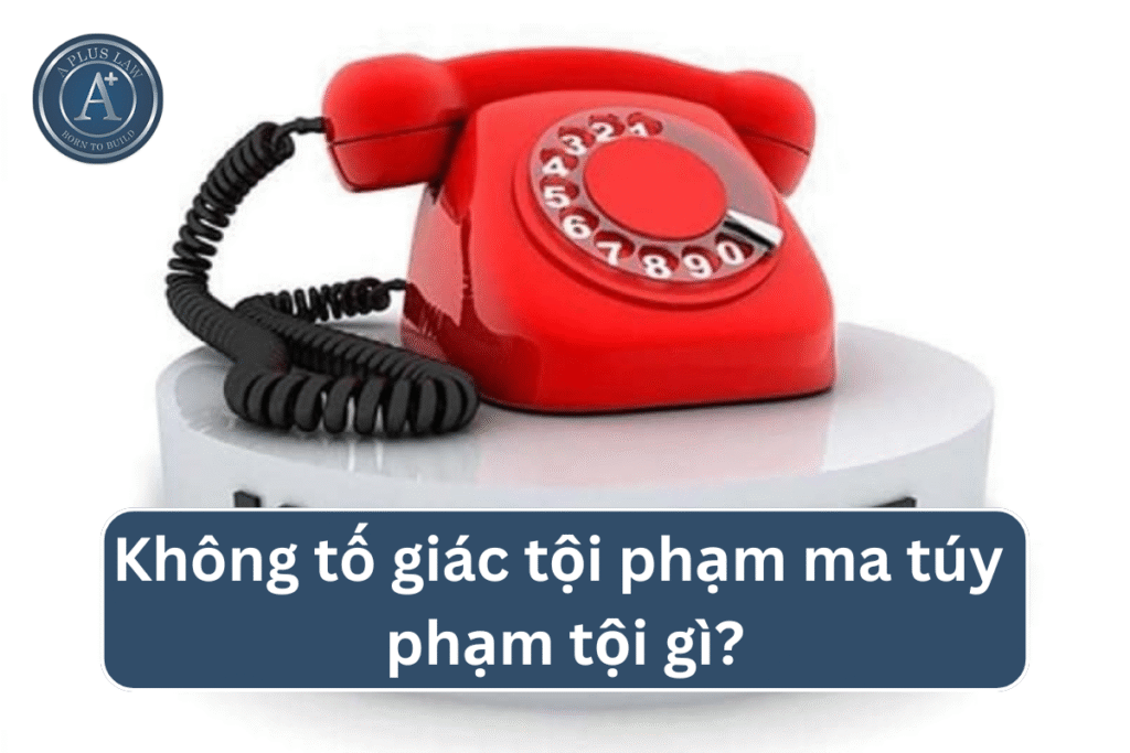 Không tố giác tội phạm ma túy phạm tội gì?