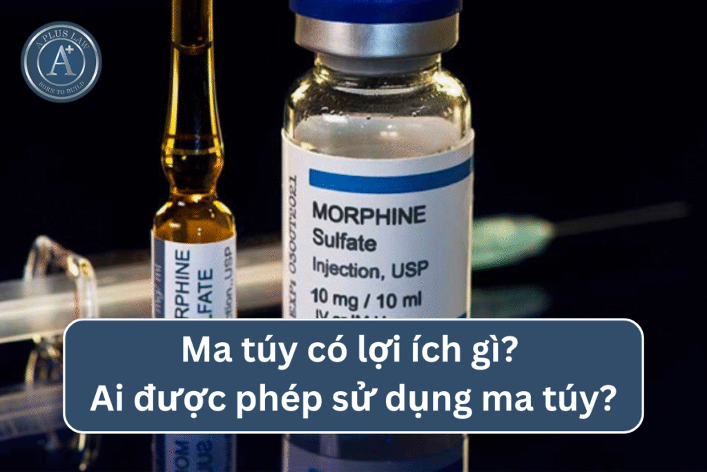 Ma túy có lợi ích gì? Ai được phép sử dụng ma túy?