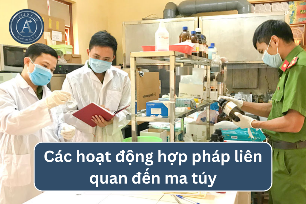 ma túy hợp pháp