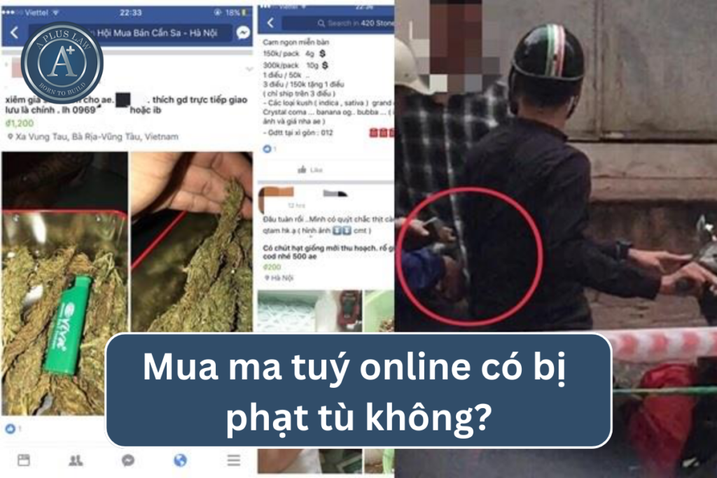 mua ma túy online
