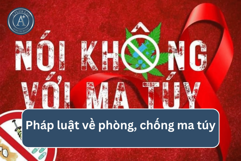 Pháp luật về phòng, chống ma túy
