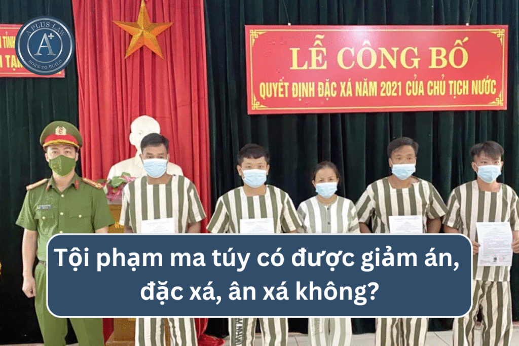 Tội phạm ma túy có được giảm án, đặc xá, ân xá không?