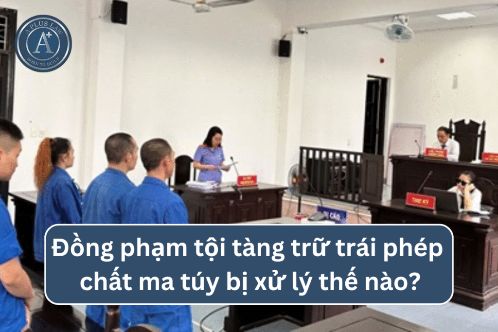 Đồng phạm tội tàng trữ trái phép chất ma túy bị xử lý thế nào theo Pháp luật?