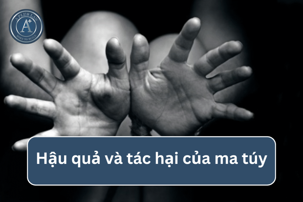Hậu quả và tác hại của ma túy
