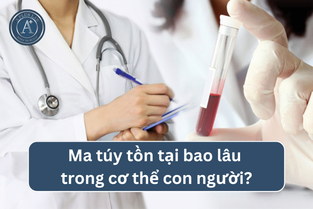 Ma túy tồn tại bao lâu trong cơ thể con người?