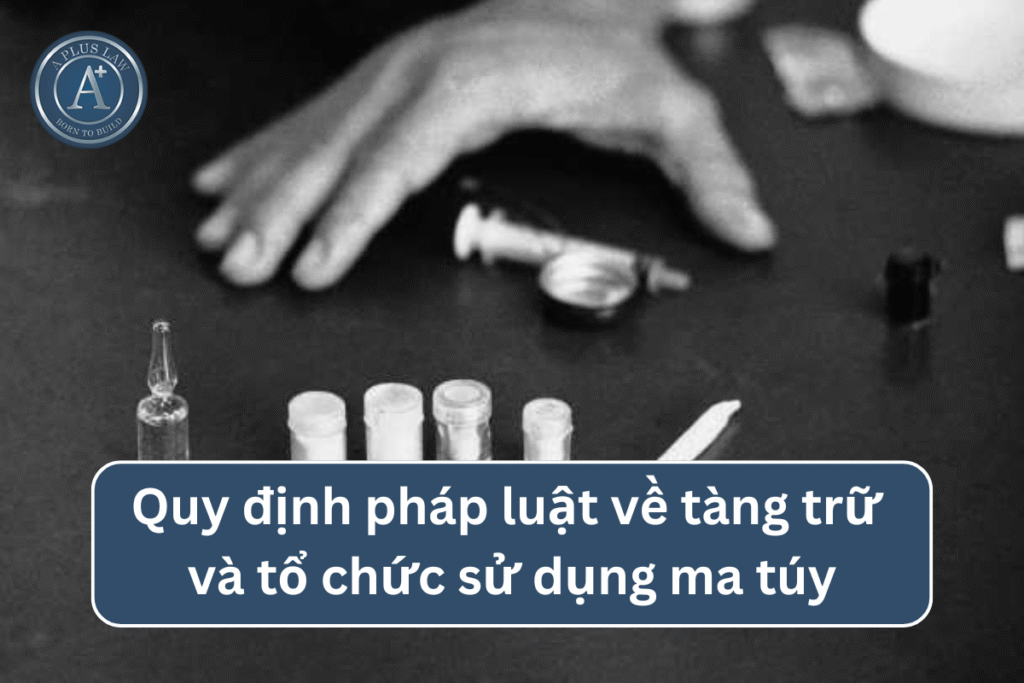 Quy định pháp luật về tàng trữ và tổ chức sử dụng ma túy