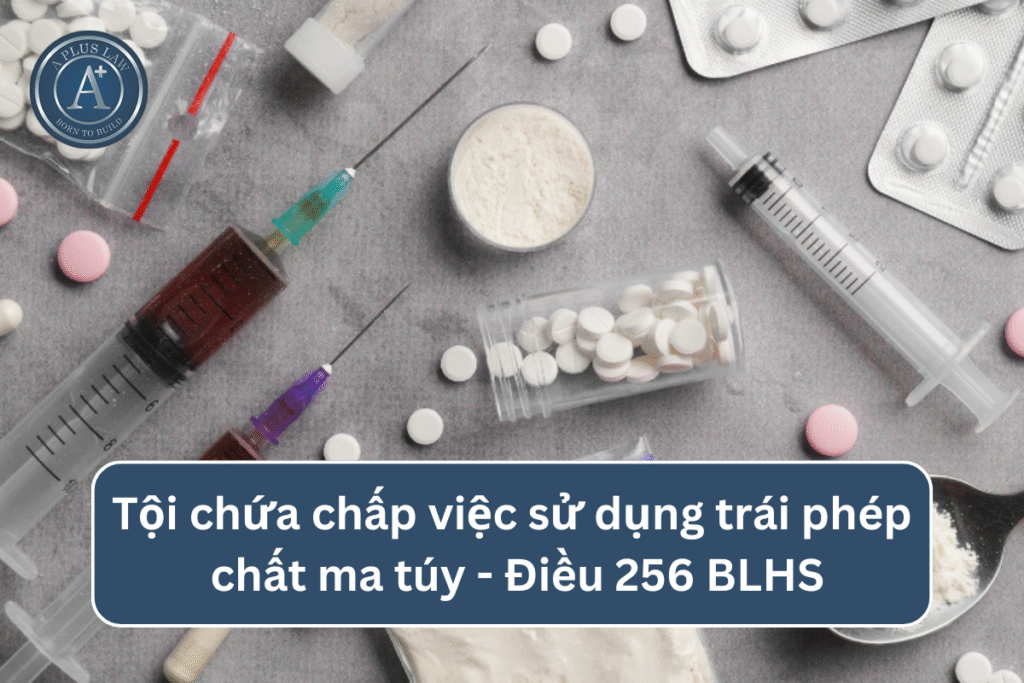 Tội chứa chấp việc sử dụng trái phép chất ma túy - Điều 256 BLHS