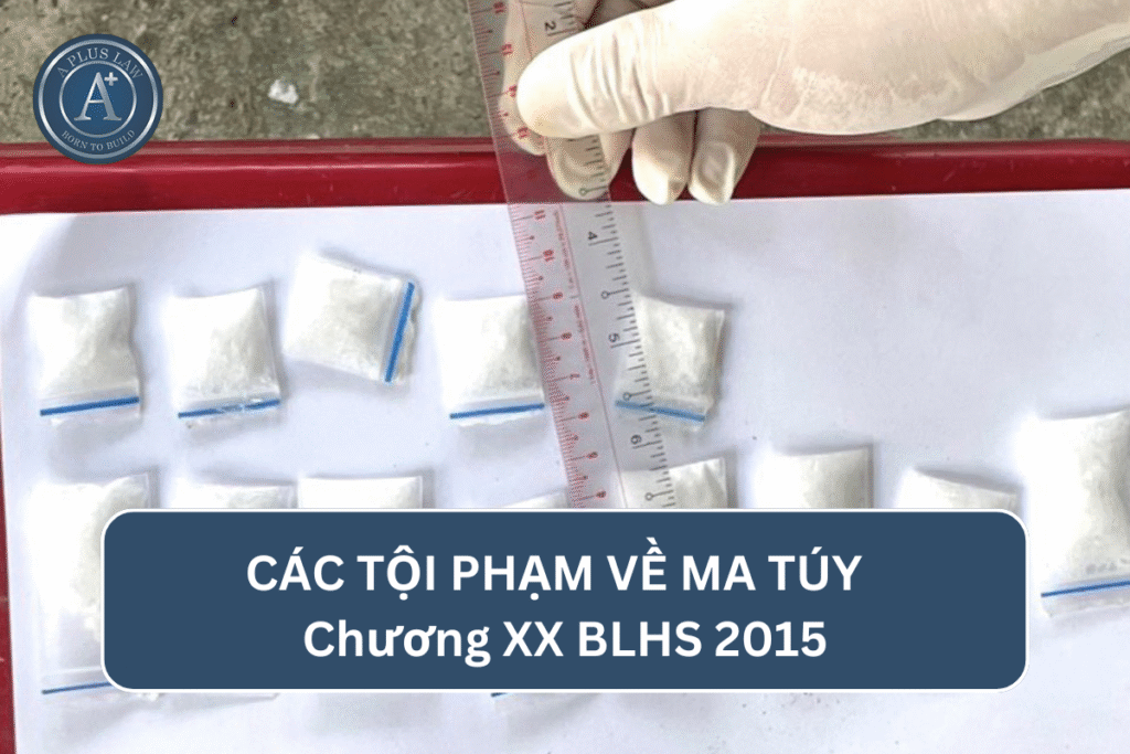 CÁC TỘI PHẠM VỀ MA TÚY - Chương XX BLHS 2015