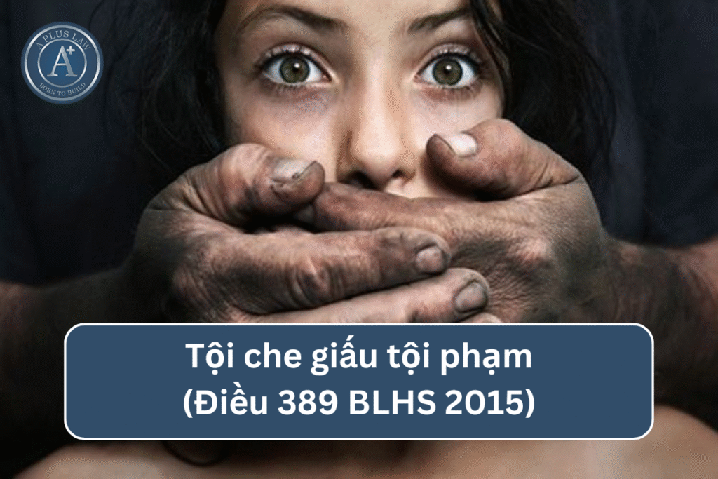 Tội che giấu tội phạm theo Điều 389 BLHS