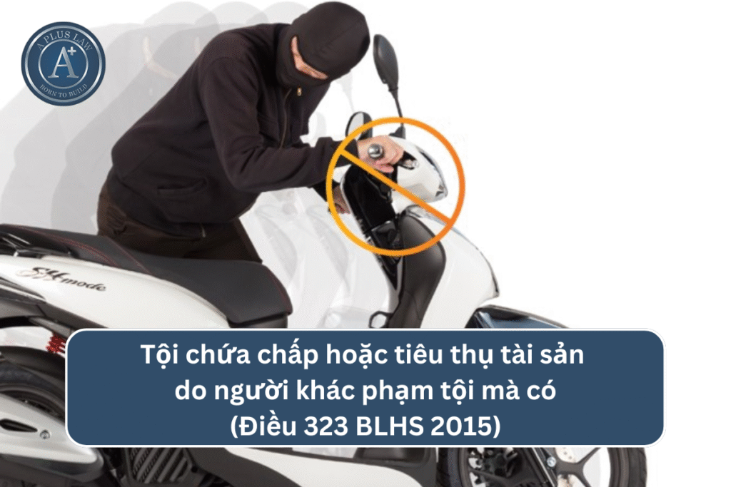 Tội chứa chấp hoặc tiêu thụ tài sản do người khác phạm tội mà có theo Điều 323 BLHS