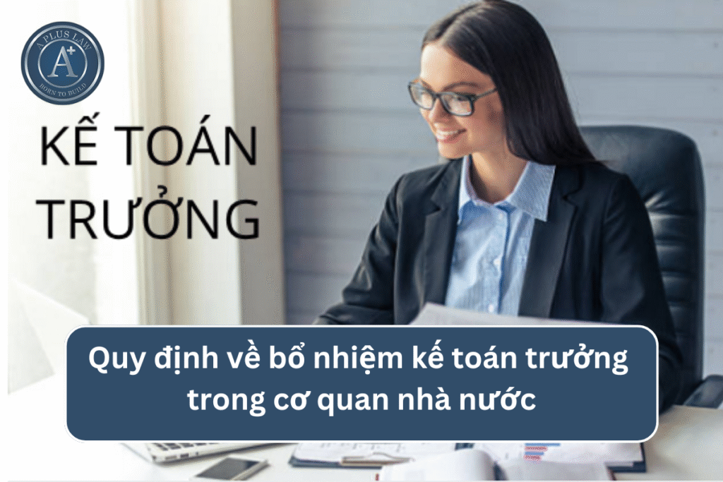 Quy định về bổ nhiệm kế toán trưởng trong cơ quan nhà nước