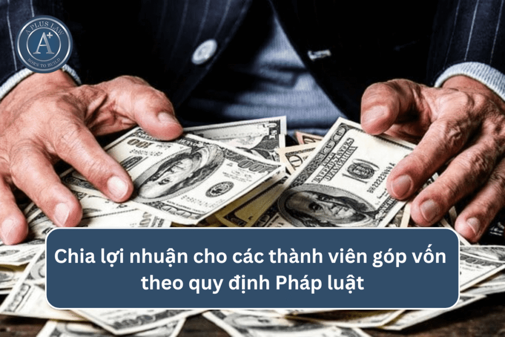 Chia lợi nhuận cho các thành viên góp vốn theo quy định Pháp luật