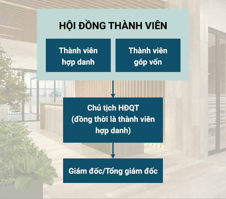 Sơ đồ minh họa cơ cấu tổ chức công ty hợp danh
