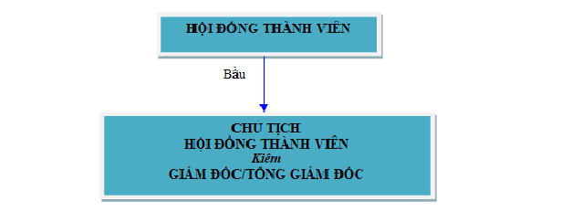 cơ cấu tổ chức quản lý của công ty hợp danh