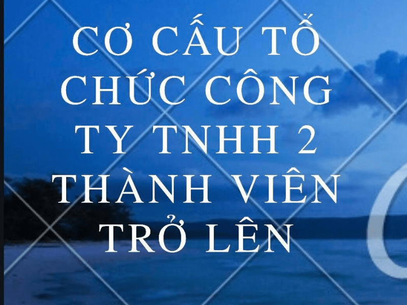 Sự linh hoạt trong cơ cấu tổ chức công ty TNHH 2 thành viên cho phép doanh nghiệp dễ dàng điều chỉnh theo quy mô và định hướng phát triển.