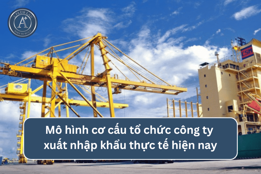 Mô hình cơ cấu tổ chức công ty xuất nhập khẩu thực tế hiện nay