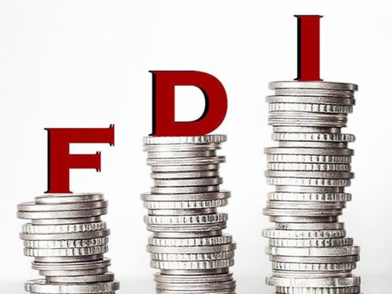 Thủ tục thành lập doanh nghiệp FDI cần tuân thủ quy định chặt chẽ về đầu tư và pháp luật doanh nghiệp.