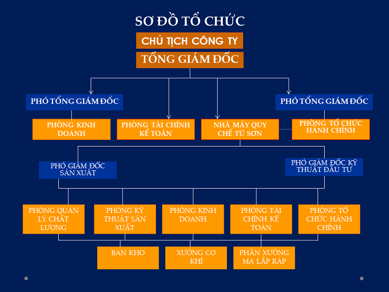 Sơ đồ cơ cấu tổ chức công ty xuất nhập khẩu